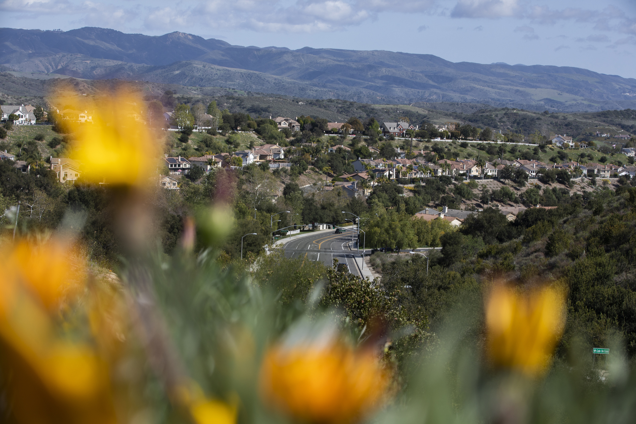 A suburban neighborhood with rows of houses and winding roads sits in a green valley, with mountains in the background and out-of-focus orange wildflowers in the foreground.